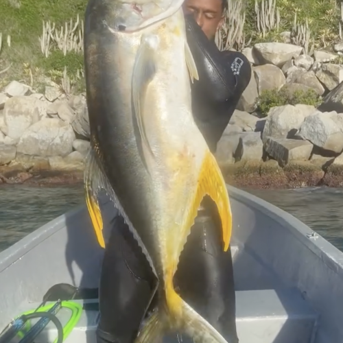 (Foto: Reprodução / redes sociais)