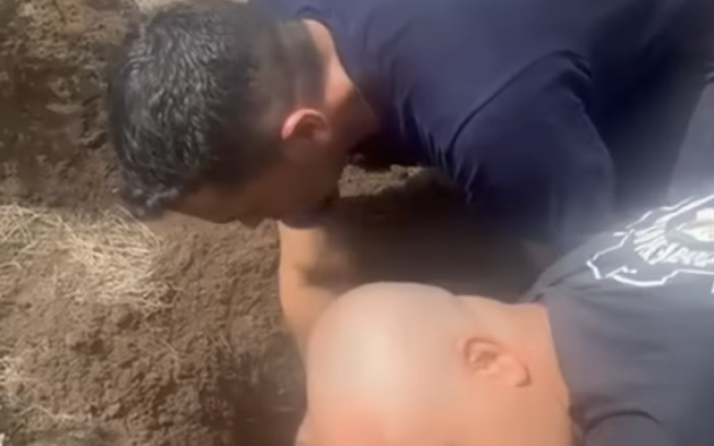 (Foto: Reprodução)