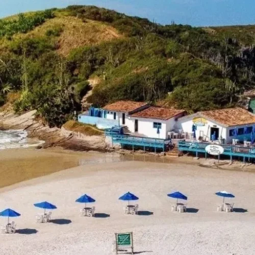 (Foto: Reprodução)