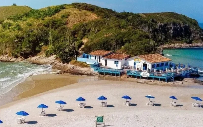 (Foto: Reprodução)